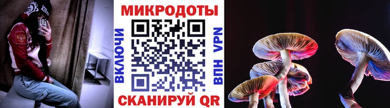 Галлюциногенные грибы Psilocybe  Грайворон 